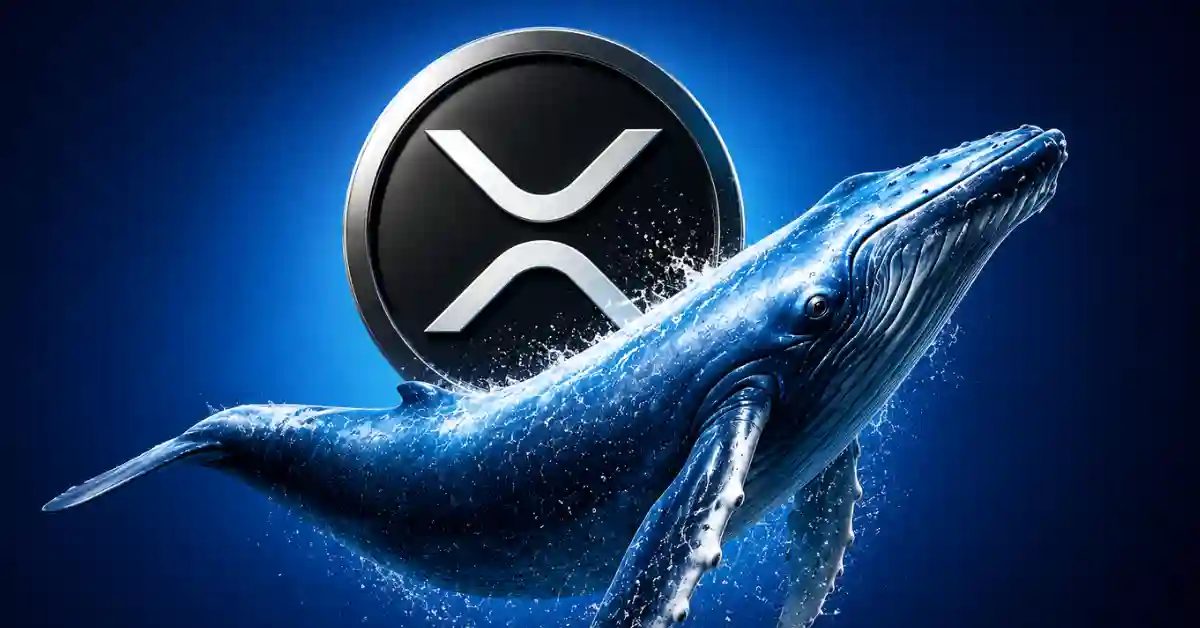 Evernorth CEO On A Decade-Long Wall Street U-Turn On XRP